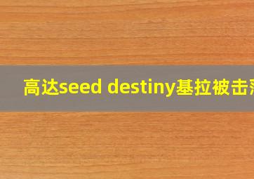 高达seed destiny基拉被击落